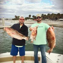 groupers and hogfish
